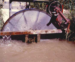 an electric-powered wheel screen at a canal entrance. click to enlarge.